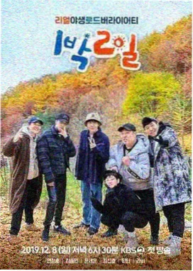 明星竞技综艺