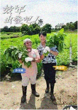 脱口秀搞笑综艺